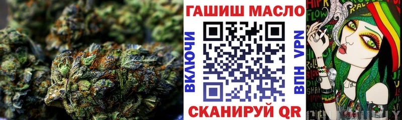 Купить где  Курчатов  ТГК концентрат 