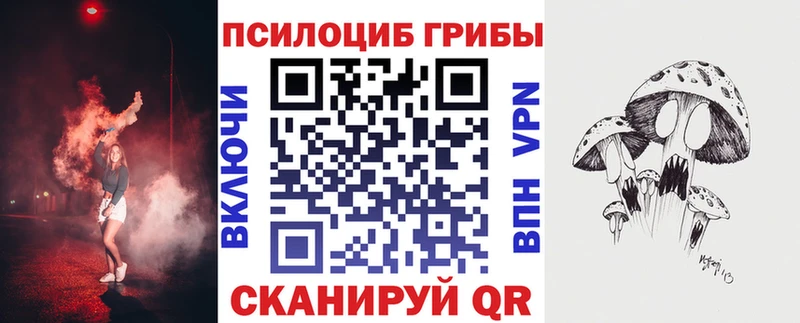 Галлюциногенные грибы Psilocybine cubensis Курчатов